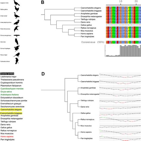 New dataset types in iTOL v4. Each tree in iTOL can be annotated with... | Download Scientific ...