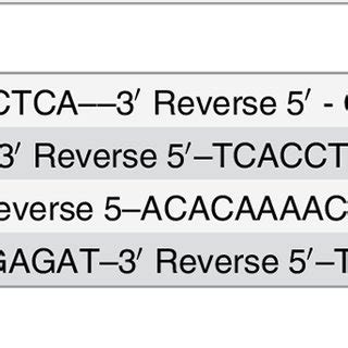 Primers used for qRT-PCR. | Download Table