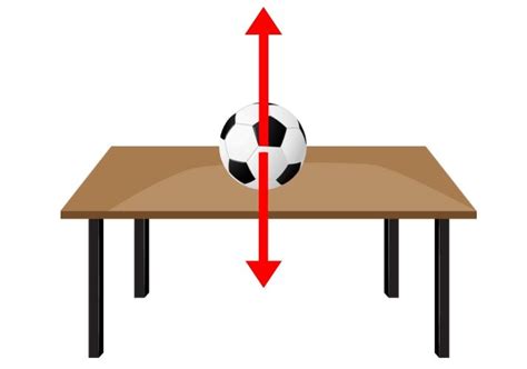 Action and Reaction Forces: Newton's Third Law of Motion Educational Resources K12 Learning ...