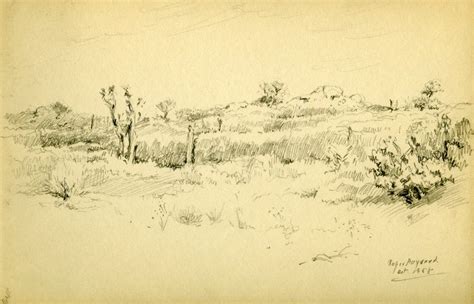 Special Collections & Archives Research Center | Pencil drawing of a desert landscape.