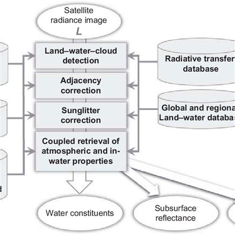 Rice crop stages. Image from the International Rice Research Institute ...