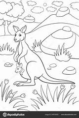 Kangaroo Coloring Page sketch template