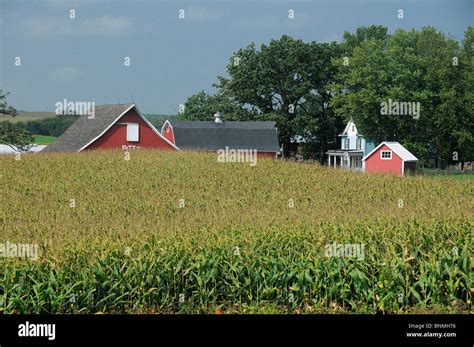 Red Farm house fields corn near Dubuque Iowa USA America buildings ...