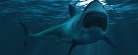 Megalodon Shark Compared To Titanic