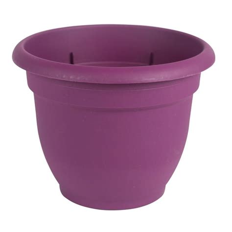 Bloem Ariana Self Watering Planter 10" Passion Fruit - Walmart.com - Walmart.com