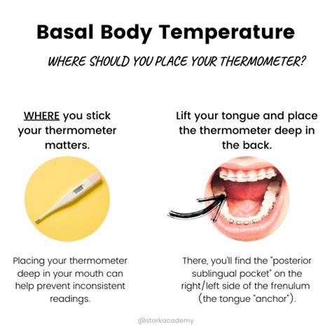 Where to Place Your Basal Body Thermometer - Storkacademy