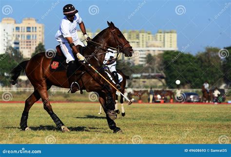 Polo Playing editorial stock photo. Image of holding - 49608693