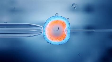 BEYOND LOCAL: Stem cell research community drops 14-day limit on human embryo research - Midland ...