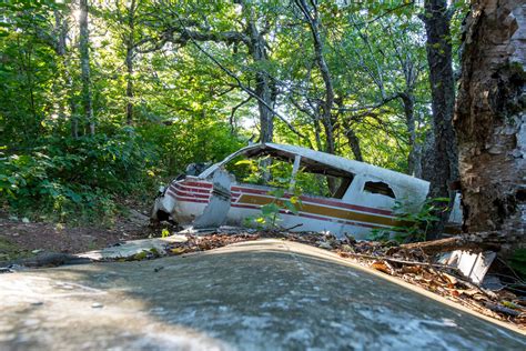 Four Children Survive 40 Days In Amazon Jungle Following Plane Crash - The American Tribune.com