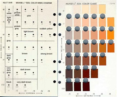 Soil Munsell Color Chart