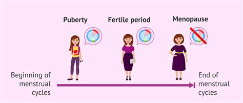 Stages of female fertility