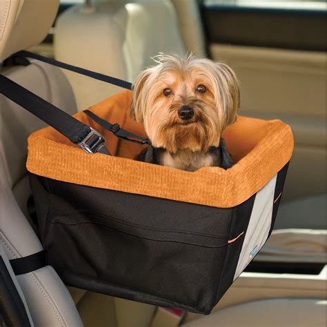 Amazon.com : Kurgo Skybox Dog Booster Seat for Cars and Dog Car Seat with Dog Seat Belt Tether ...