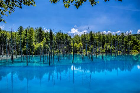 Der Blue Pond in Biei, Japan | Urlaubsguru.de