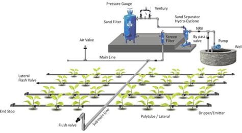 Drip Irrigation Information Guide | Asia Farming