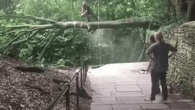 Logging Cut Wood GIF - Logging CutWood Chainsaw - Discover & Share GIFs