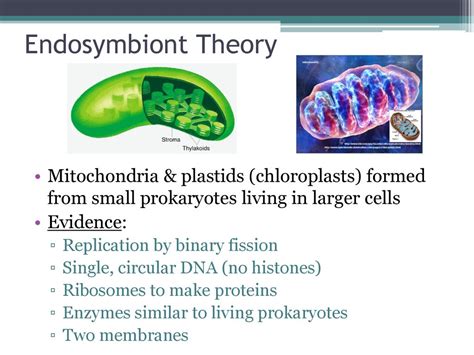 The Origin of Life. - ppt download