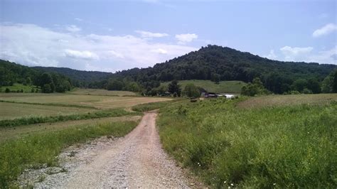 148.5 acres in Lewis County, Kentucky