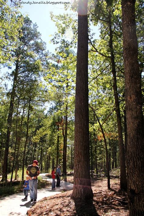 Living Creatively: Hobbs State Park