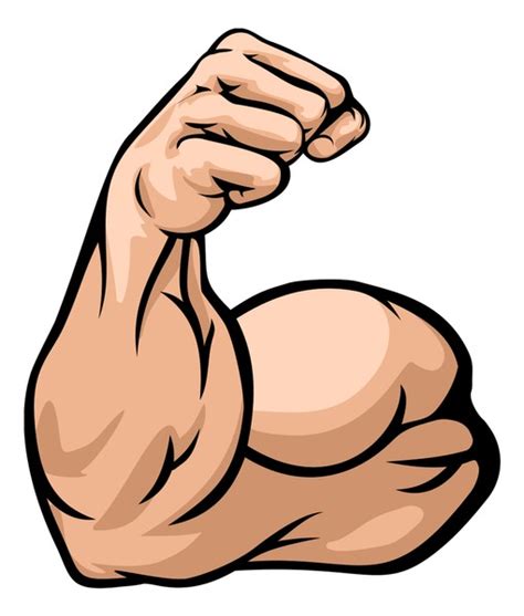 9 Bicept Curl Royalty-Free Images, Stock Photos & Pictures | Shutterstock