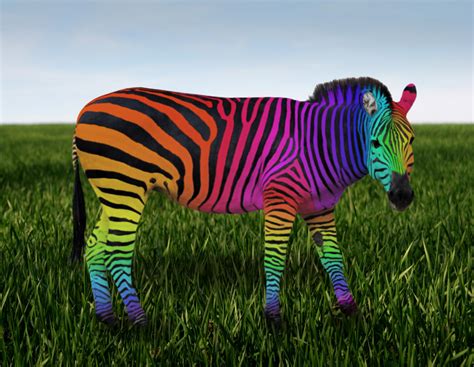 Rainbow Zebra Wallpaper - WallpaperSafari