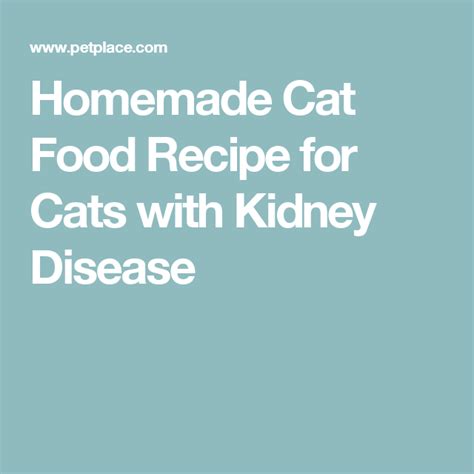 Homemade Cat Food Recipe for Cats with Kidney Disease | Homemade cat food, Kidney disease ...