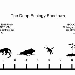 (PDF) Smith, W., & Gough, A. (2015). Deep Ecology as a framework for student eco-philosophical ...