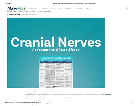 Cranial Nerves Assessment Cheat Sheet Free Download I - vrogue.co