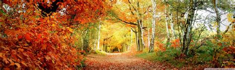 Dual Monitor Autumn Wallpapers - Top Free Dual Monitor Autumn Backgrounds - WallpaperAccess