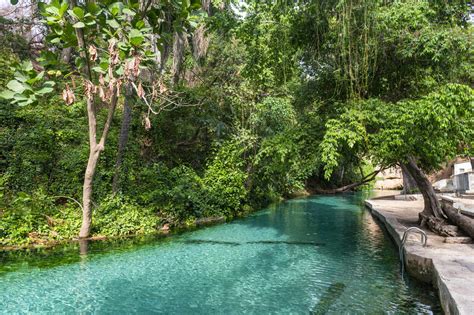 Turquoise Wikki warm springs, Yankari National Park, eastern Nigeria, West Africa, Africa stock ...