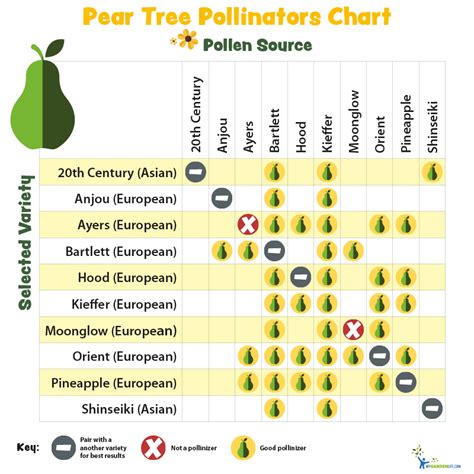 Fruit Tree Pollination Chart | My XXX Hot Girl