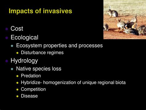 PPT - Invasive species PowerPoint Presentation, free download - ID:1165382