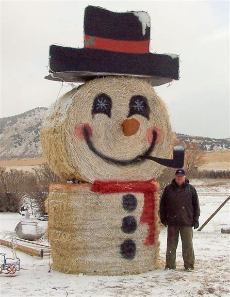 33 best images about Hay bale art on Pinterest | Hay bales, Straw bales and Corn maze