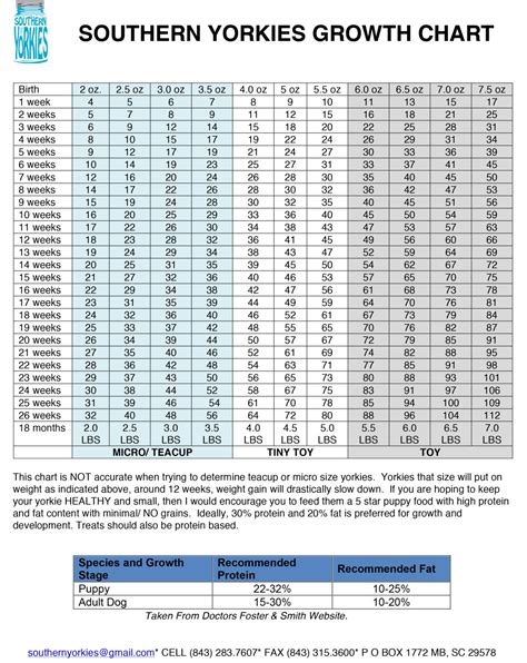 Yorkie Growth Chart • Southern Yorkies