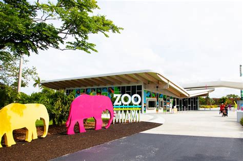 Miami Zoo With Transportation - Miami | Project Expedition