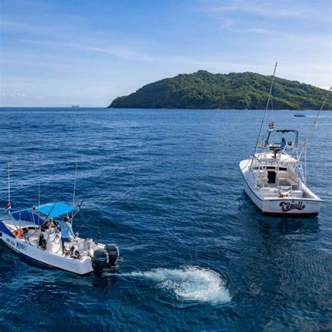 Exploring Costa Rica's Seafood Delights: A Guide to the Best Fish to ...