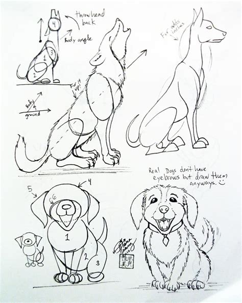 Draw a Dog 2 by Diana-Huang on DeviantArt