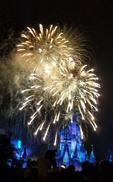 Fireworks at Magic Kingdom