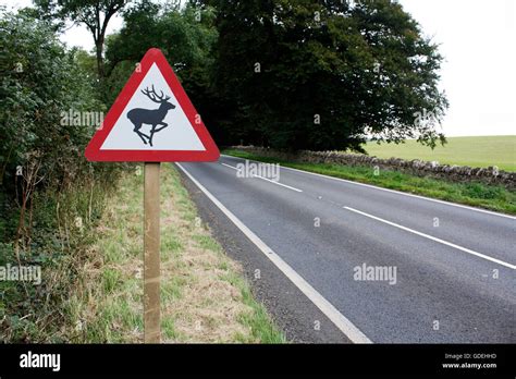 Deer crossing sign on road, Cotswolds, Gloucestershire, England, UK Stock Photo: 111573881 - Alamy