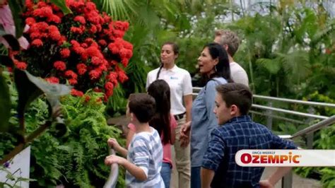 Ozempic TV Commercial, 'Oh!' - iSpot.tv