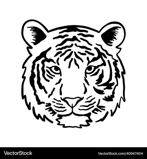 Tiger head face outline Royalty Free Vector Image