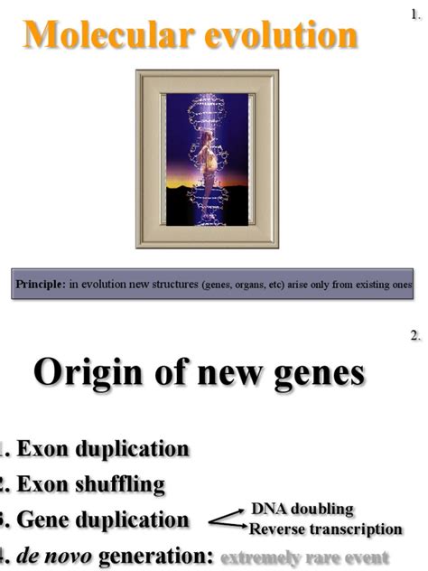 Molecular Evolution | PDF | Gene | Microsatellite