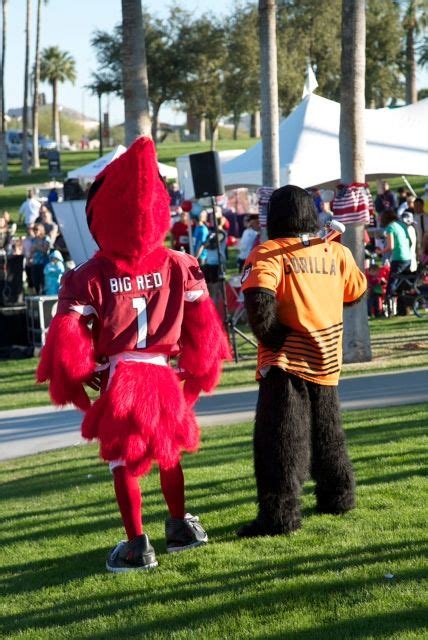 Arizona Cardinals mascot 'Big Red' and Phoenix Suns mascot 'Go'. Two of ...