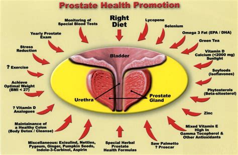 Food Tips for Prostate Health - Eat Fruits and Vegetables