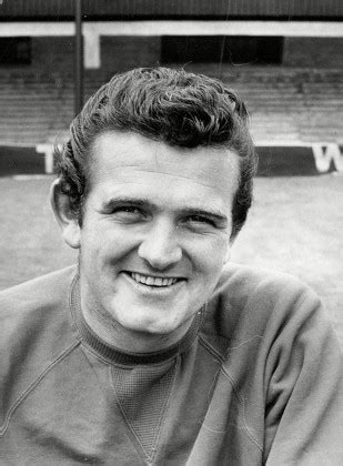 Tommy Lawrence Liverpool Fc Goalkeeper Editorial Stock Photo - Stock ...