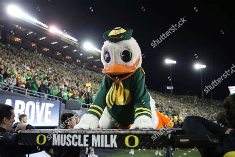 Oregon Duck Mascot Does Pushups After Editorial Stock Photo - Stock ...