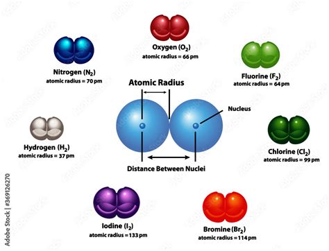 Diagram explaining Atomic Radius using diatomic molecules. Oxygen, hydrogen, nitrogen, fluorine ...