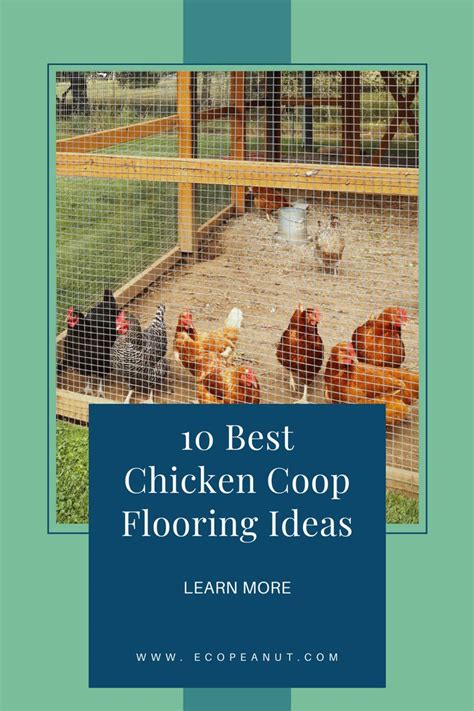 Chicken Coop Flooring: 10 Ideas in 2021 | Chicken coop, Chickens backyard, Backyard chicken coop diy