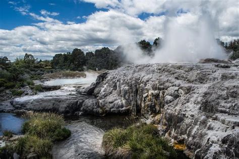 New Zealand Wildlife Safari & Tour | National Geographic Expeditions