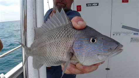 Fishing St. Pete Beach/ Treasure Island, Florida - Living The Anglers Dream - YouTube