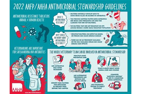 2022 AAFP/AAHA Antimicrobial Stewardship Guidelines - FECAVA